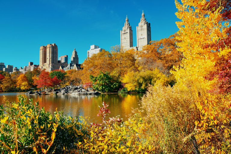 Где в Нью-Йорке лучше всего любоваться золотой осенью — New York