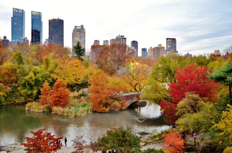 10 лучших мест для осенней прогулки в Центральном парке — New York