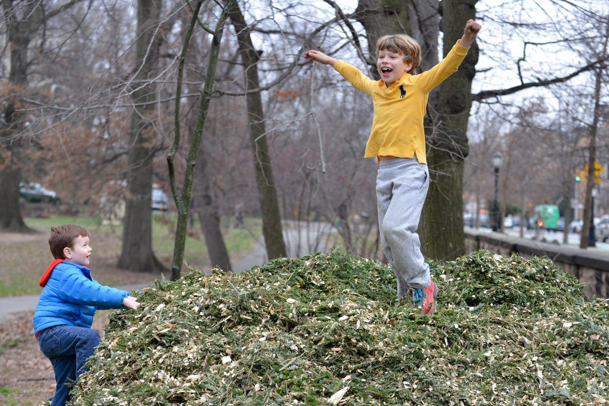 Как правильно попрощаться с рождественской елкой: Mulchfest в Нью-Йорке — New York