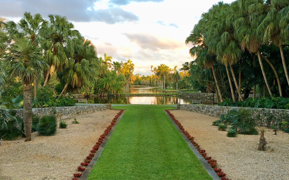 Fairchild Tropical Botanic Garden - природное сокровище Южной Флориды — New York