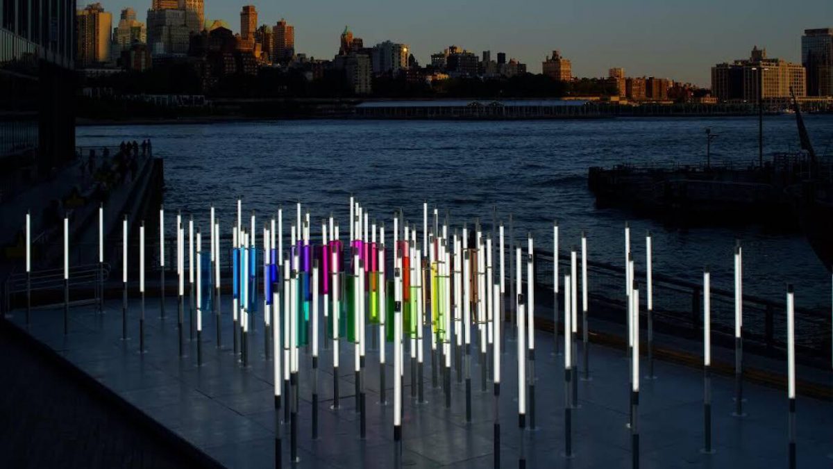 На набережной в Манхэттене появился "светящийся лес" — New York