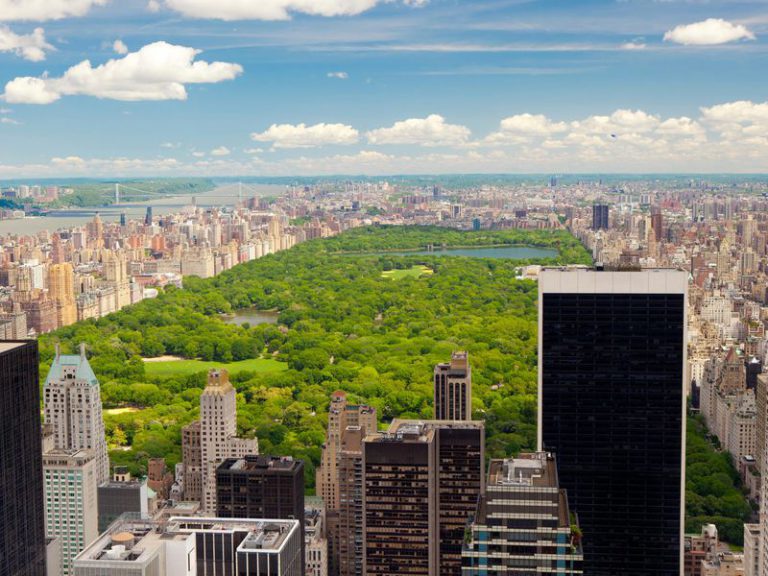 Реконструкция Центрального парка Нью-Йорка — New York