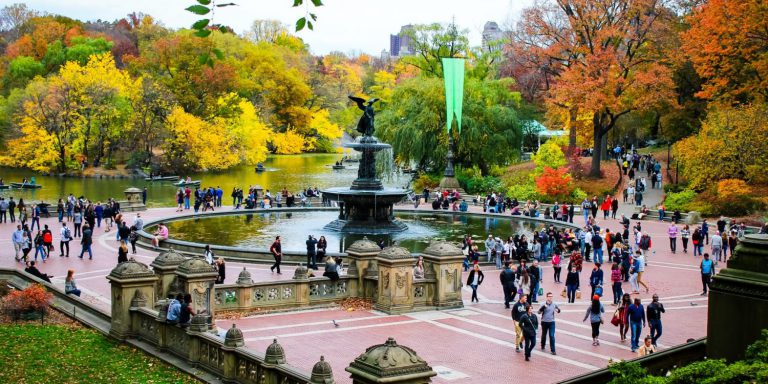 Осень-2019 в Нью-Йорке: как провести — New York