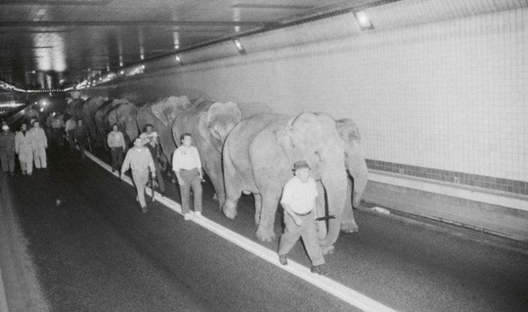10 секретов Lincoln Tunnel, соединяющего Нью-Йорк и Нью-Джерси — New York