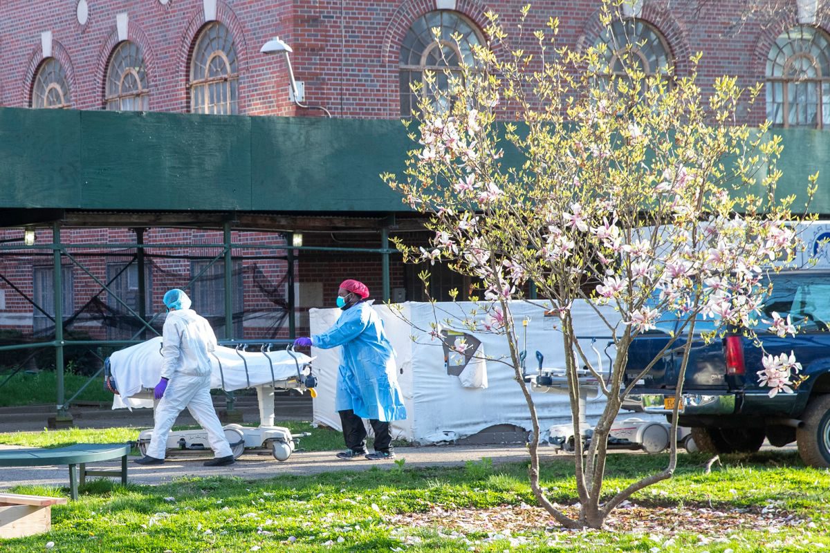 Эксперты: коронавирус в Нью-Йорк завезли из Европы, а не из Китая  — New York