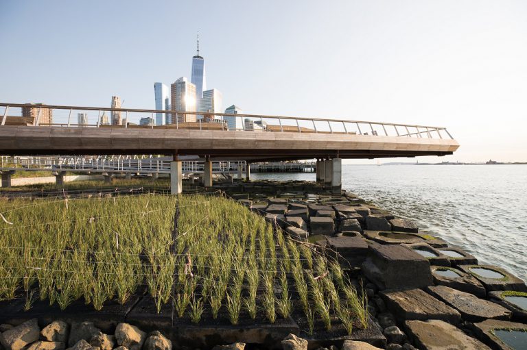 Пирс 26 в Hudson River Park преобразовали в экологическую набережную — New York
