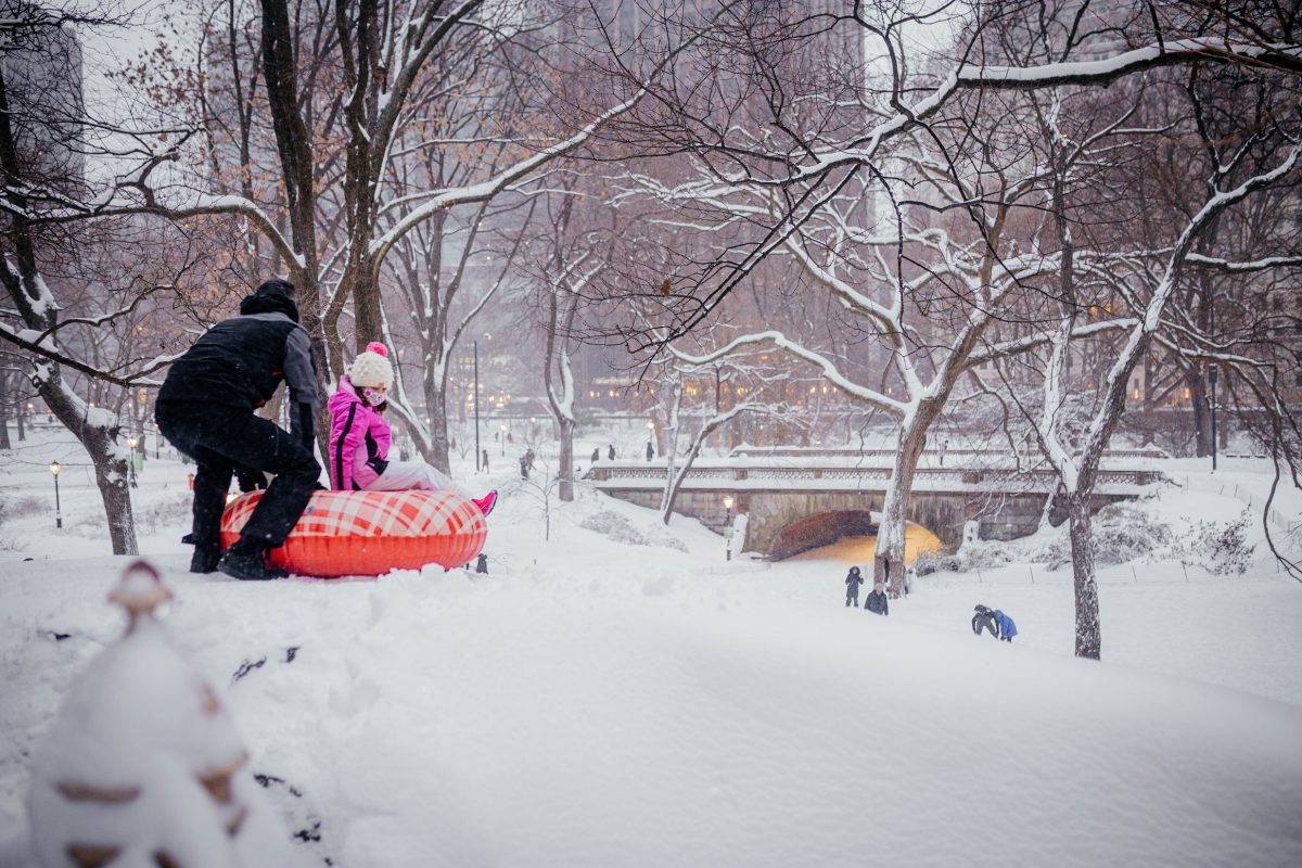 17 мест для катания на санках в Нью-Йорке — New York
