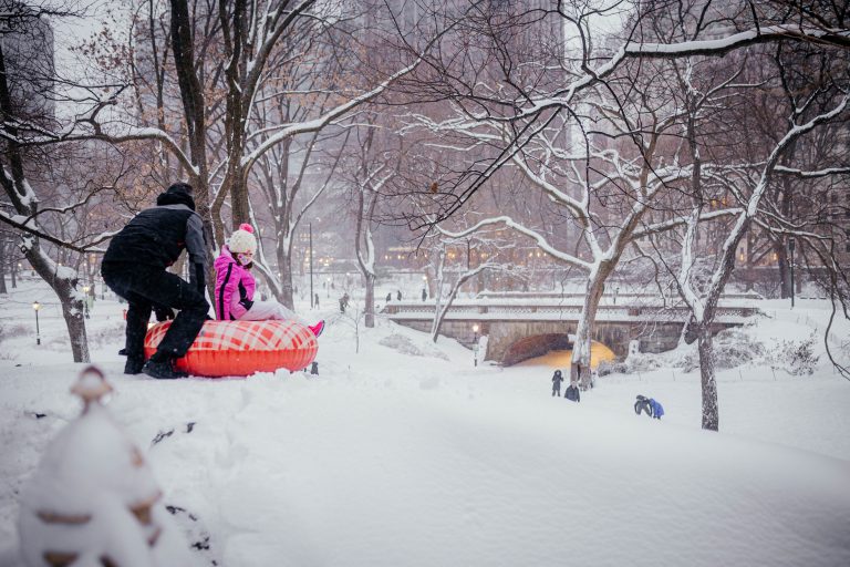 17 мест для катания на санках в Нью-Йорке — New York