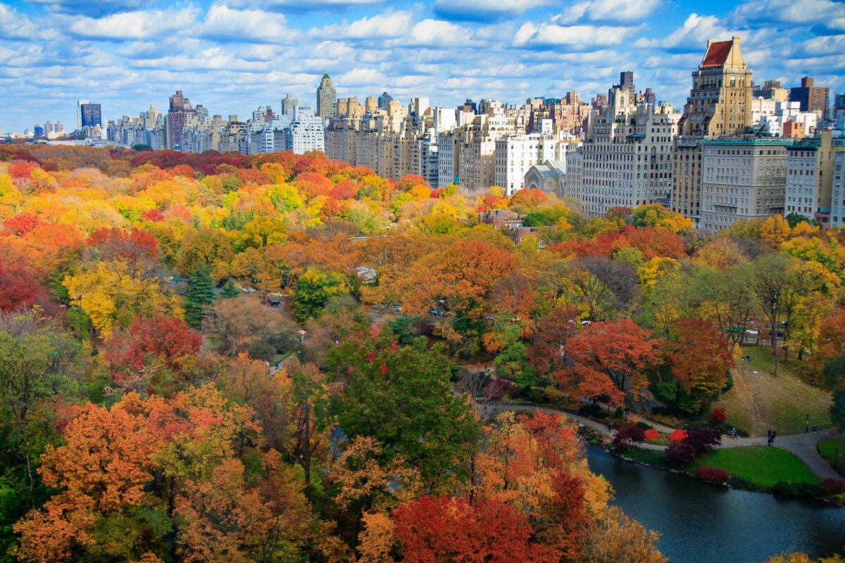 Осень-2021 в Нью-Йорке: куда пойти и что посмотреть — New York