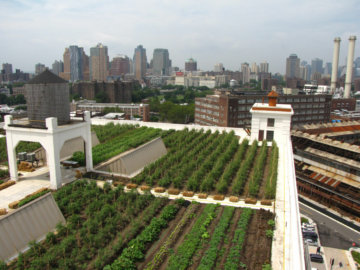 Как провести выходные Open House в Нью-Йорке — New York
