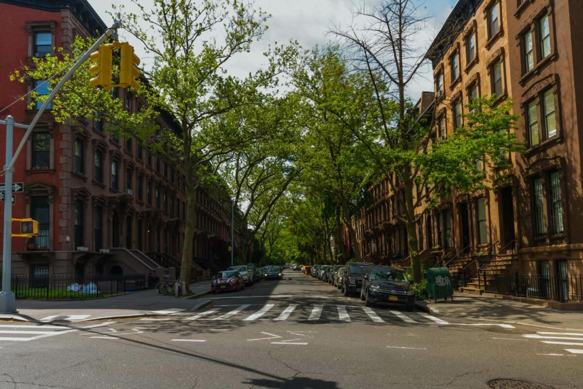 Теперь вы можете погулять по литературному Бруклину с аудиогидом — New York