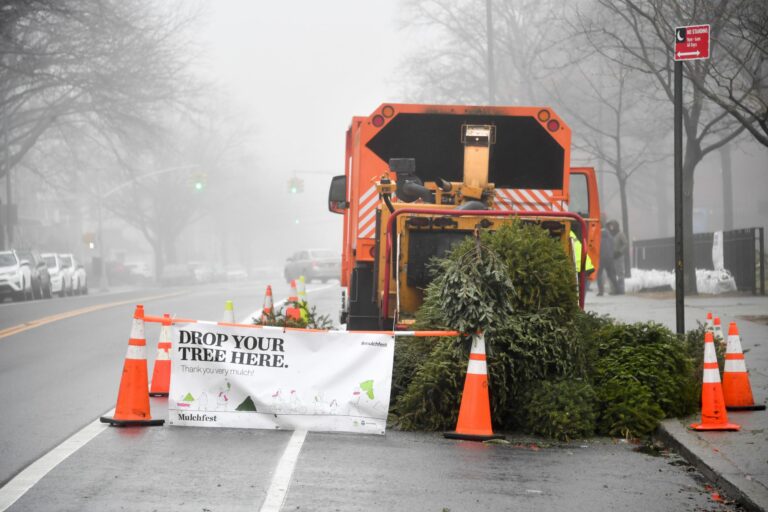 Mulchfest возвращается: утилизируйте елки в Нью-Йорке правильно — New York